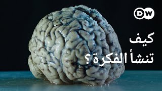 وثائقي  قوة الأفكار  لغز كبير يواجه العلم  وثائقية دي دبليو [upl. by Rider143]