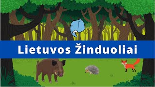 Lietuvos žinduoliai🐗  Edukaciniai filmukai vaikams🐘 [upl. by Luedtke]