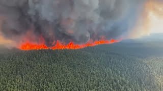 Incendios forestales más virulentos por la sequía y el calentamiento global [upl. by Ahtoelc]