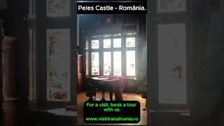 Romania Travel Vlog Peles Castle from Romania [upl. by Samala]