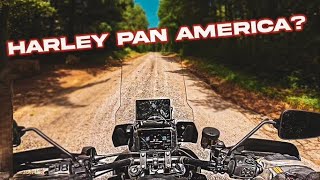 Harley Davidson Pan America Special 2022 long term review [upl. by Brookes]