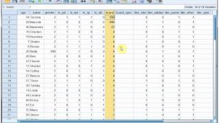 SPSS Data entry part 4 [upl. by Inait]