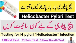 H Pylori Test In Urdu Hindi  Helicobacter Pylori Blood Test Stool Antigen Test  Urea Breath Test [upl. by Nnaillek]