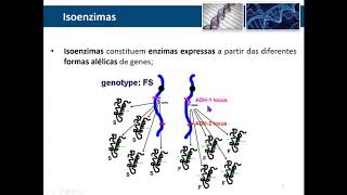 Isoenzimas  Parte 1 [upl. by Haseena]