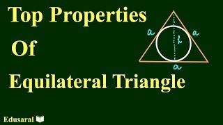 Understanding of Equilateral Triangle in Hindi  Geometry  All Competitive Exams  Edusaral [upl. by Aliam]