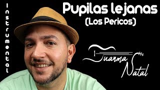 Pupilas lejanas Los Pericos INSTRUMENTAL  Juanma Natal  Guitar  Cover  Lyrics [upl. by Mallis91]