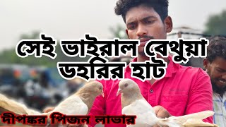 বেথুয়া ডহরি হাটে 150টাকা পিস গিরিবাজ কবুতর পাওয়া যাচ্ছে ও তুরি বাস তল গরম পাওয়া যায় [upl. by Sokul210]