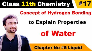 Concept of hydrogen bonding to explain properties of water class 11 [upl. by Eldnar]