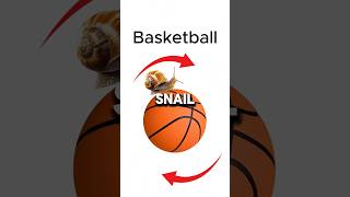 Snail 🐌 vs Bullet 💨 Epic Race—Basketball 🏀 vs Space Station 🛰️ [upl. by Tnayrb]