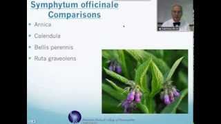 Symphytum officinale Homeopathic Medicine Tips For Beginners [upl. by Detta]