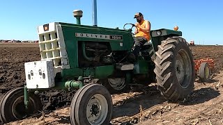 Oliver 1650 Plowing [upl. by Orvil]