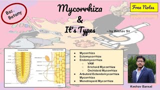 Mycorrhiza  Ecto  VAM  Orchidoid  Arbutiod  Monotropoid  Bsc  PDF  by VEX [upl. by Nniw]