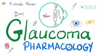 Glaucoma Pharmacology  5Minute Review [upl. by Victor]