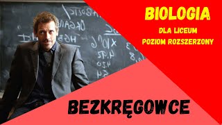 Bezkręgowce Biologia rozszerzona do matury [upl. by Boru782]