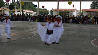 Mis niños de primaria bailando quotLa bambaquot del estado de Veracruz [upl. by Jotham]