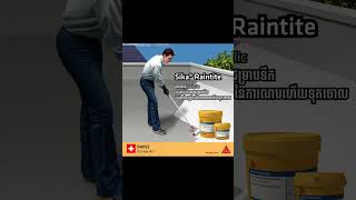 Sika Raintite Acrylic Waterproofing Coating ❤️ [upl. by Enyaht4]