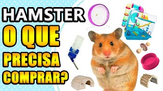 O que é necessário comprar para ter um hamster [upl. by Troy593]