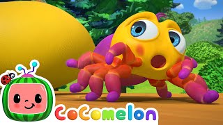 Itsy Bitsy Spider  CoComelon Nursery Rhymes amp Animal Songs [upl. by Noval]