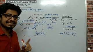 Crispr cas9 gene editing explained [upl. by Cammie809]