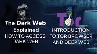 How To Use Tor Browser Securely On Android Phone  A To Z Hacking Using Tor browser [upl. by Auof260]