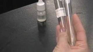 Transfering a bacterial culture to an agar slant [upl. by Eninej]