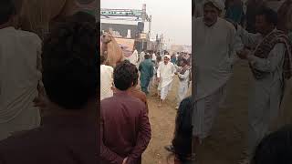 dancer camelcamel dancethal jeep rallyytshort [upl. by Mungam]