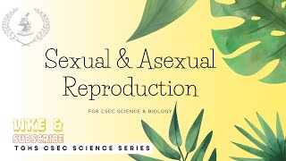 Asexual vs Sexual Reproduction [upl. by Anawal]