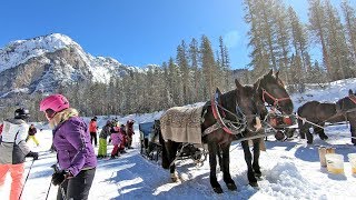 The hidden valley Alta Badia a ski run ending with a horse tow [upl. by Asilej642]