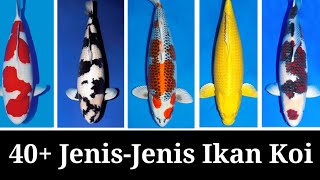 Jenisjenis Ikan Koi Terlengkap [upl. by Fillian]