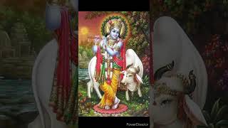 Achyutam Keshavam Krishna Damodaram krishnasongs 🙏 [upl. by Miah]