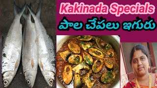 Pala Chepa Iguru Kakinada Specials godavari [upl. by Rramal]