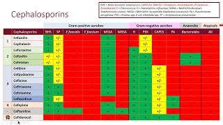 Bacteremia and Clinical Resistance Objective 2 [upl. by Nylekcaj]