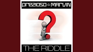 The Riddle Alternative Radio Edit Mix [upl. by Nnylahs318]