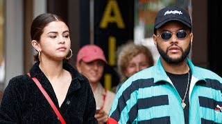 Selena Gomez amp The Weeknd Have Puppy Playdate amp Theres Photo Evidence [upl. by Madoc]