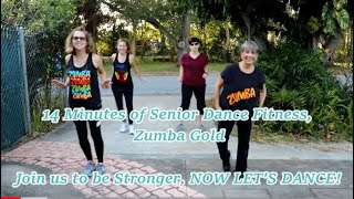 14 Minutes of Senior Dance Fitness  Zumba Gold  Fun Dance Workout [upl. by Janina]