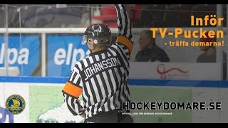 Träffa TVPuckens domare [upl. by Adnuhser638]