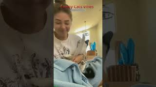 Cat Lover 😸 Cat Fails 🐱 FunnyCats Part 4516 [upl. by Aciret55]