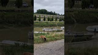 Blaye Gironde [upl. by Trinette]