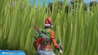 Hide in Tall Grass for 10 Seconds Location  Fortnite [upl. by Pollerd]