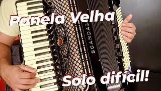 Aula PANELA VELHA solo de acordeon [upl. by Attem389]