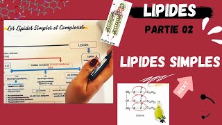 📣3 Les Lipides Partie 02  Les Lipides Simples Triglycerides اقوى شرح لللبيدات😍 LIPIDS [upl. by Norrad]