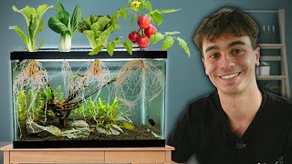 I Grew 7 Easy Vegetables in My Aquarium [upl. by Harleigh]