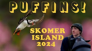 I Visited Puffin Island  Skomer Trip 2024 [upl. by Simaj204]