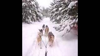 Dog Sledding in Ely Minnesota better quality [upl. by Alina568]