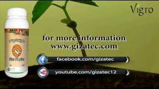 Giza PK plus the favourite bloom fertilizer for optimum crop quality and yield [upl. by Ateekahs]