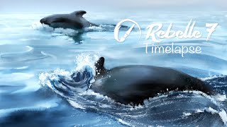 Dolphins  Rebelle 7 Timelapse [upl. by Nonahs]