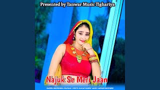 Najuk Se Meri Jaan [upl. by Annaicul]