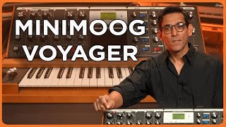 The Minimoog Voyager – A Modern Classic in Analog Synth Sound [upl. by Nyrhtac]