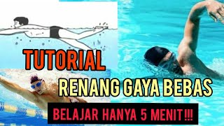 Tutorial Renang Gaya Bebas Bagi Pemula  Hanya 5 Menit Langsung Bisa Renang Gaya Bebas Swim [upl. by Madian]