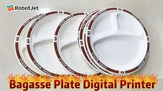 Bagasse Plate Bagasse tableware [upl. by Akinnor941]